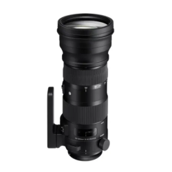 Sigma 150 - 600mm f5-6.3 Sports