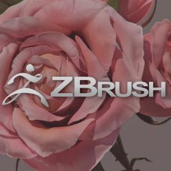 zbrush with logo