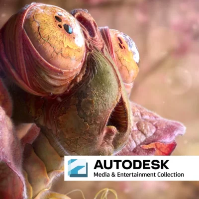 Autodesk-Media-and-Entertainment-collection