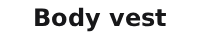 Body Vest